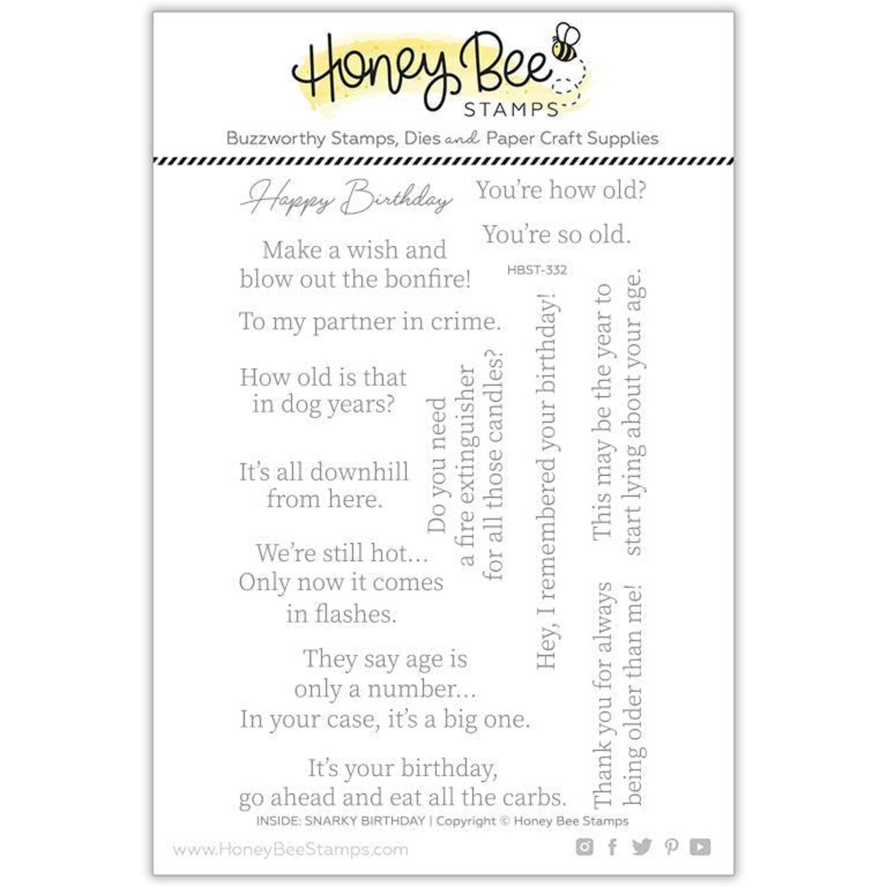 Inside: Snarky Birthday Sentiments - 4x6 Photopolymer Stamp Set